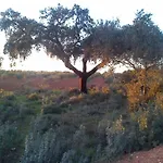 Valdezaque