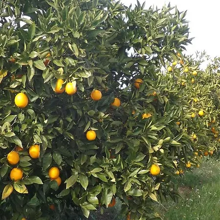 Valdezaque Cordobilla de Lácara