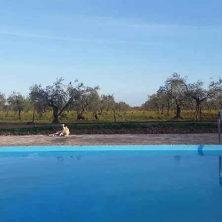 Valdezaque