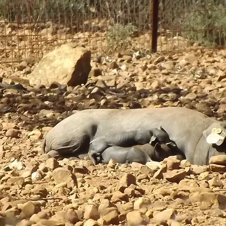 Apartament Valdezaque