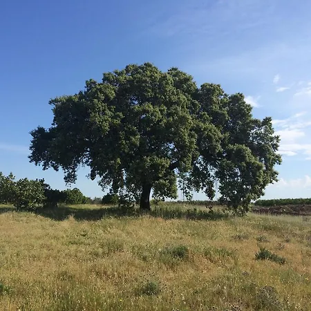 Apartament Valdezaque *