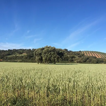 Valdezaque Cordobilla de Lácara