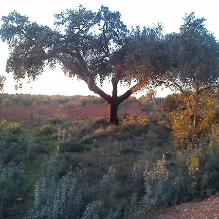 Valdezaque