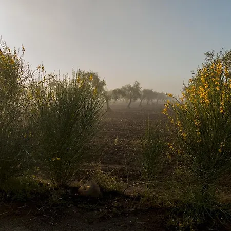 Apartament Valdezaque