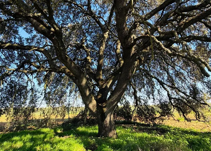 Valdezaque Апартаменты