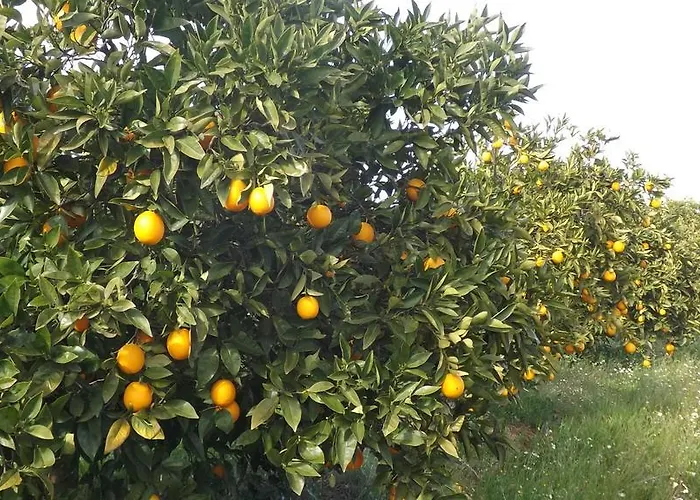 Valdezaque Cordobilla de Lácara