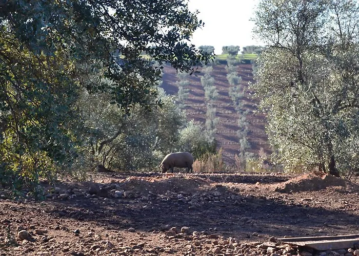 Апартаменты Valdezaque *