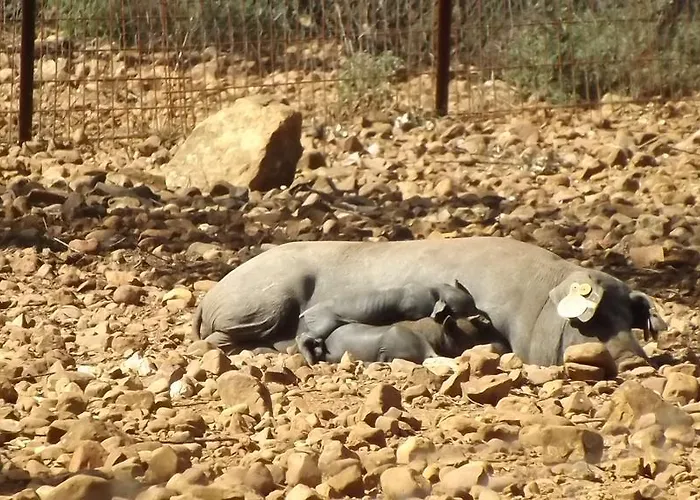 Apartment Valdezaque