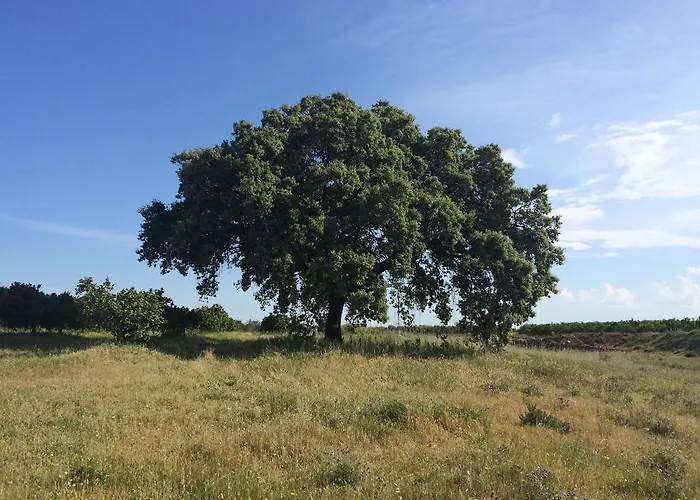 Апартаменты Valdezaque *