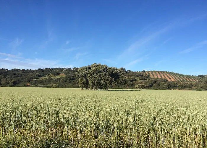 Valdezaque Cordobilla de Lacara