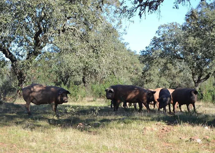 Апартаменты Valdezaque