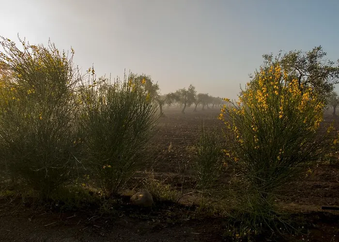 Апартаменты Valdezaque